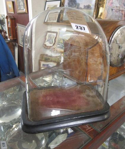 GLASS DOME ON PLINTH Image