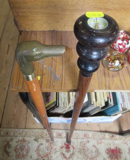 TWO WALKING STICKS Image