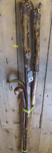 BUNDLE OF WALKING STICKS Image