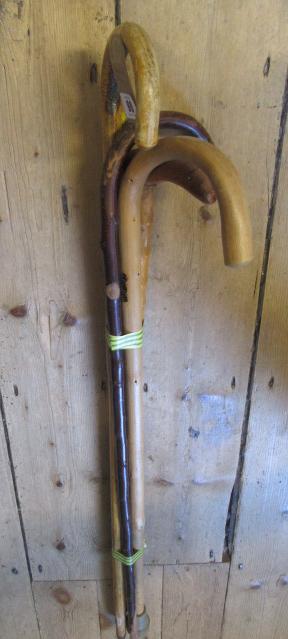 BUNDLE OF WALKING STICKS Image