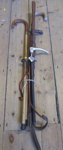 QUANTITY OF WALKING STICKS AND A CROP Image