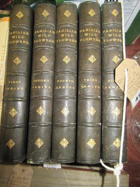 FIRST FIVE SERIES OF FAMILIAR WILD FLOWERS CIRCA 1880 Image