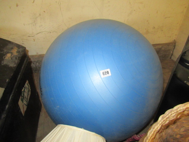 EXERCISE BALL Image