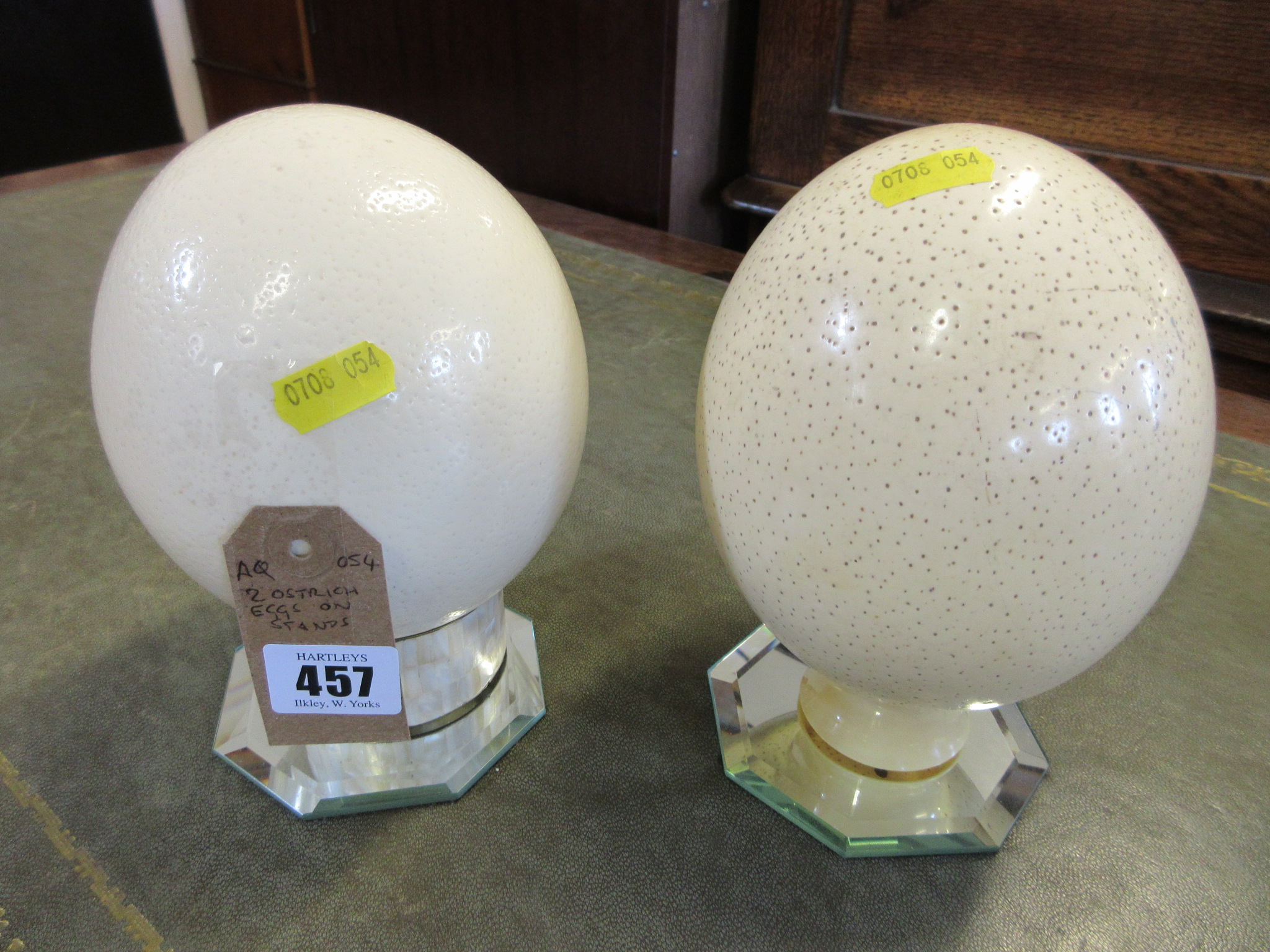 TWO OSTRICH EGGS ON STANDS Image