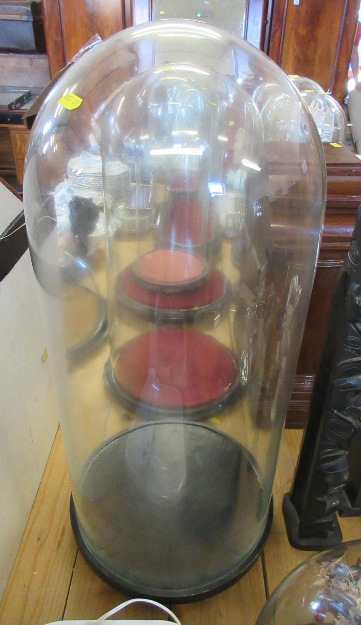 LARGE GLASS DOME AND BASE Image