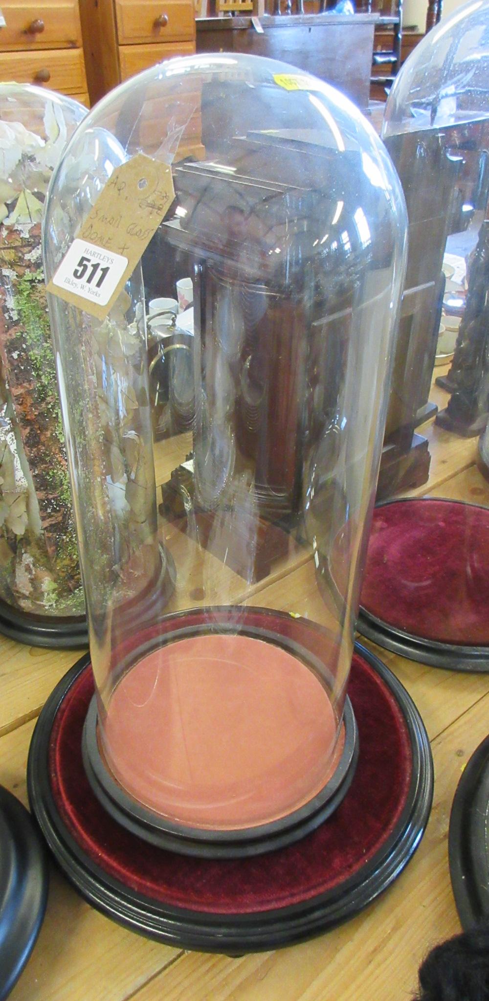 SMALL GLASS DOME AND TWO BASES Image