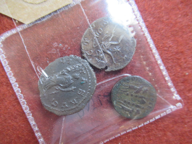 THREE ROMAN COINS Image