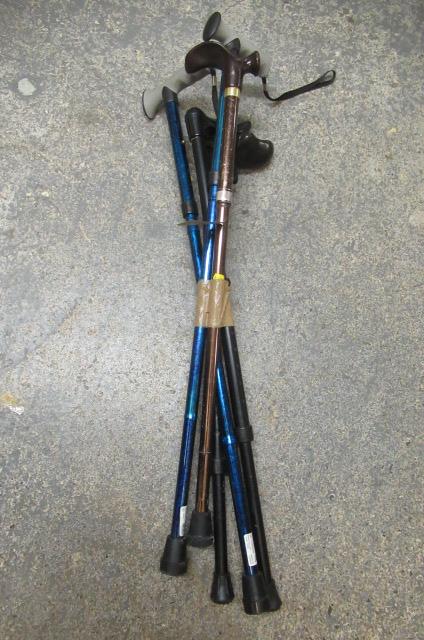 FOUR WALKING STICKS Image