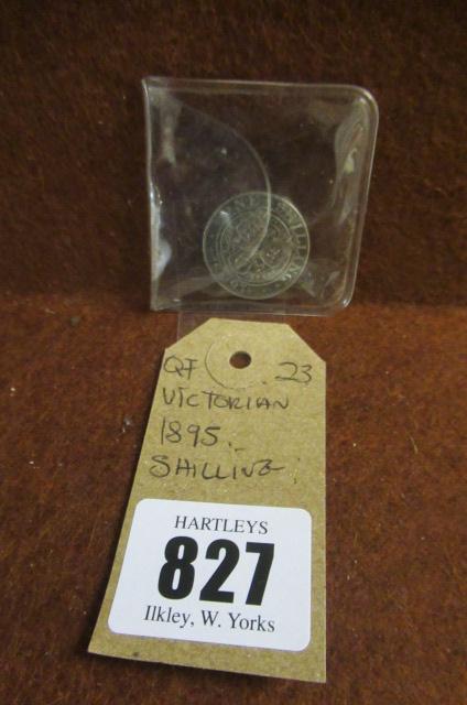 VICTORIAN 1895 SHILLING Image