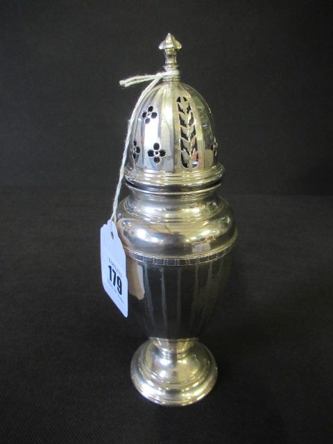 SILVER SUGAR CASTOR Image