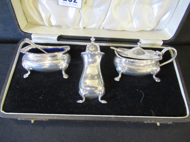CASED SILVER CRUET SET Image
