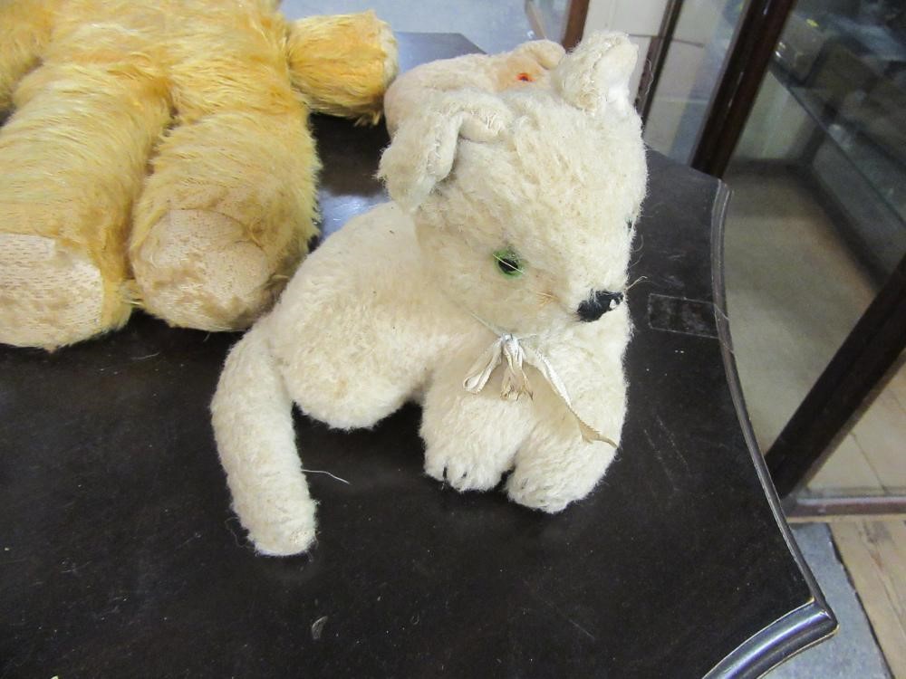 BOX OF VINTAGE BEARS  Image