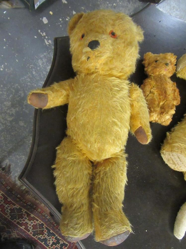 BOX OF VINTAGE BEARS  Image