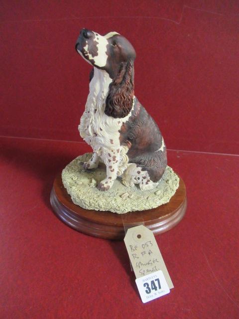 BORDER FINE ARTS SPRINGER SPANIEL Image