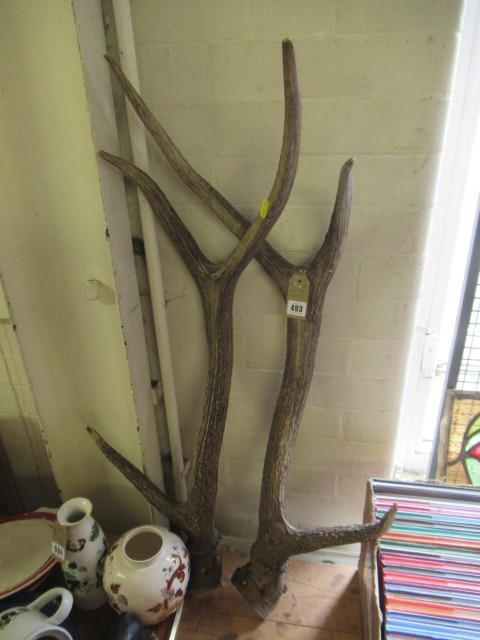 PAIR OF ANTLERS Image