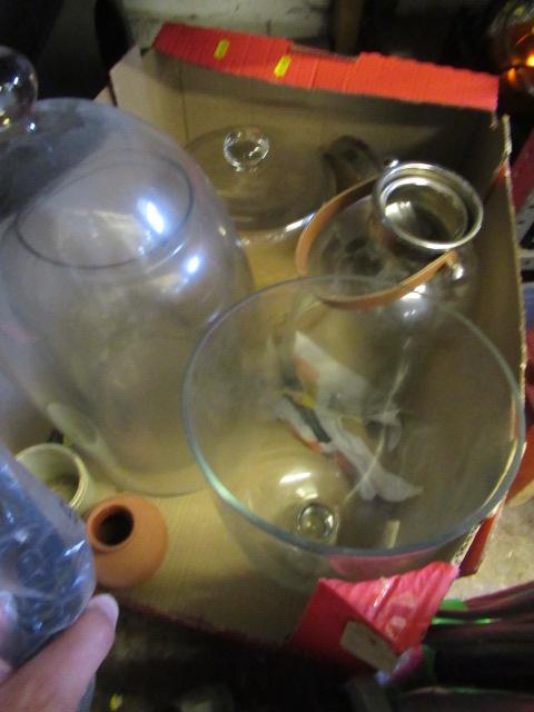 BOX OF CHEESE DOMES ETC Image