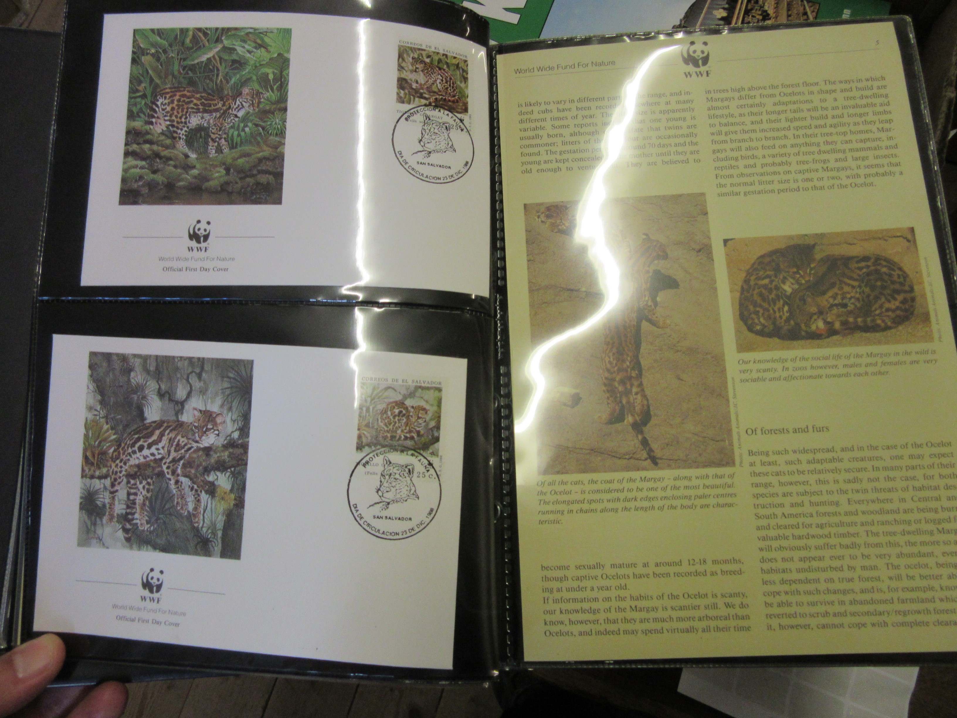 BLUE TUB OF UK MINT STAMPS AND FIRST DAY COVERS Image