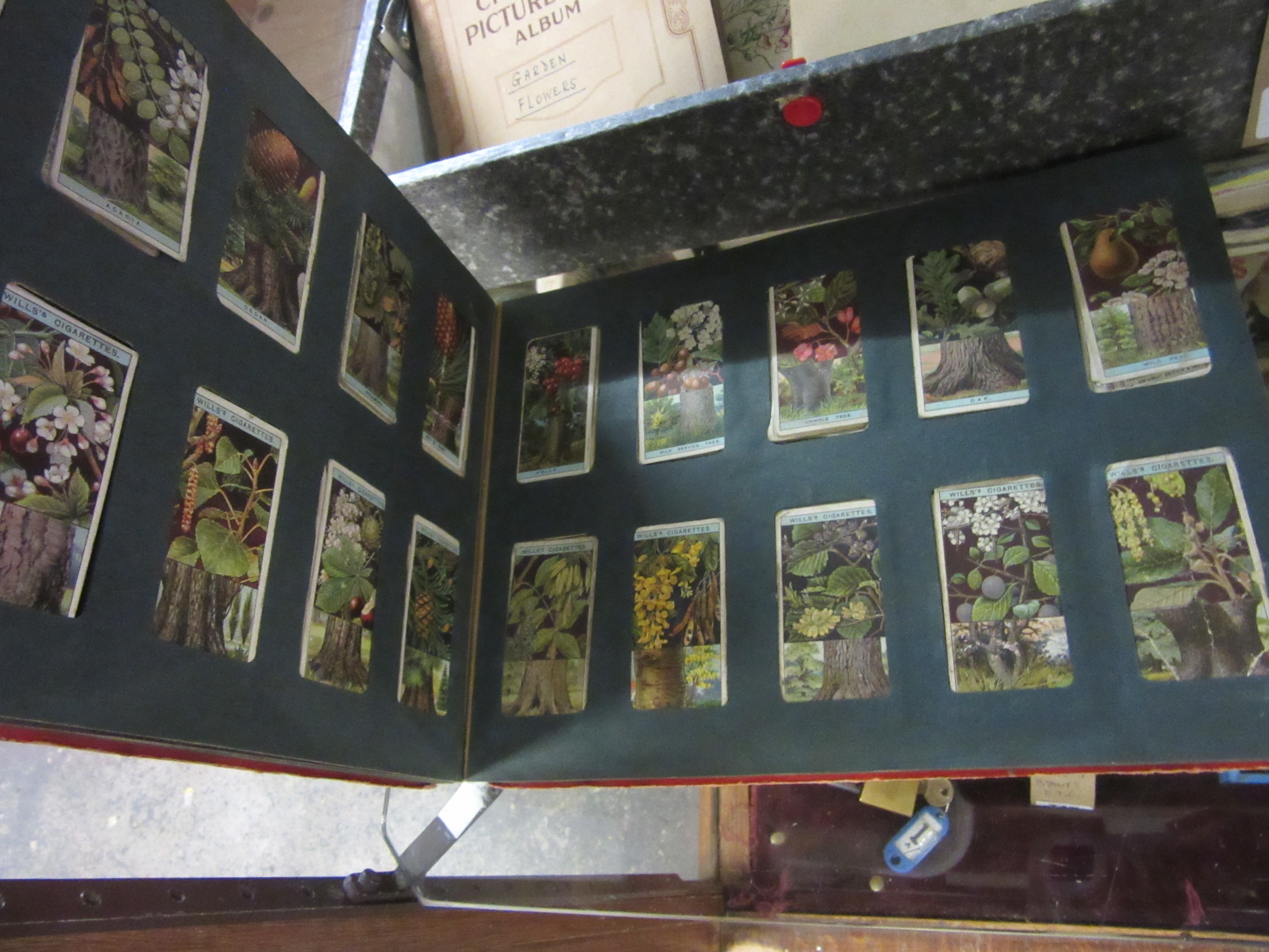 WILLS ALBUM OF CIGARETTE CARDS Image