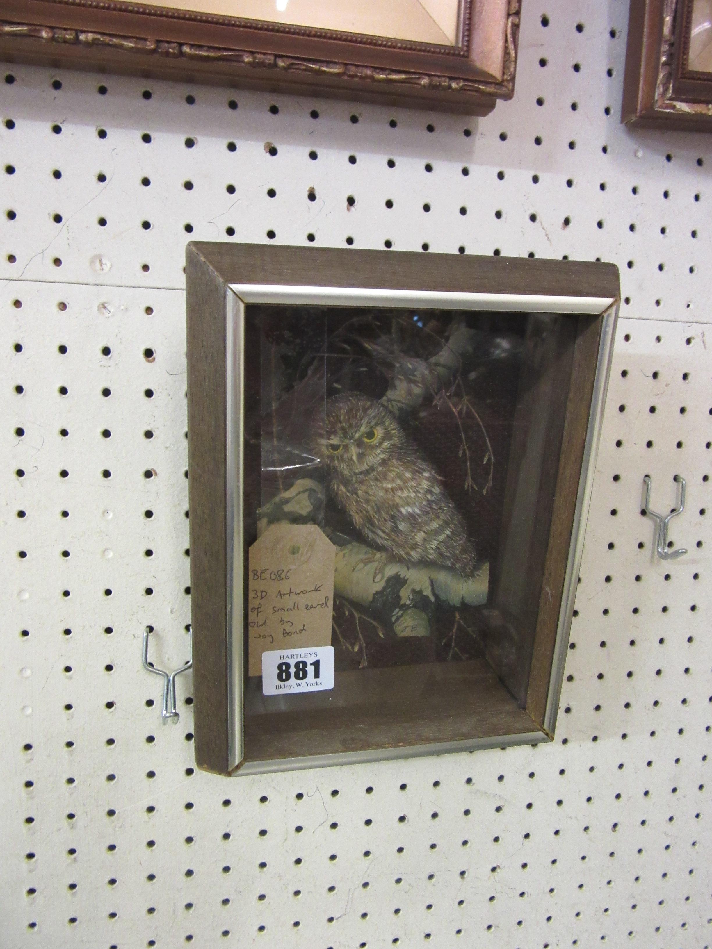 3D ARTWORK OF SMALL EARED OWL BY JOY BOND Image