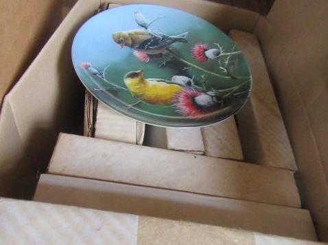 SEVEN BOXED PLATES Image