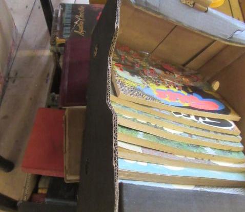 TWO BOXES OF BOOKS AND COMICS Image