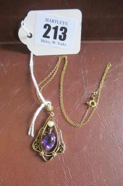 PENDANT ON 9CT GOLD CHAIN Image