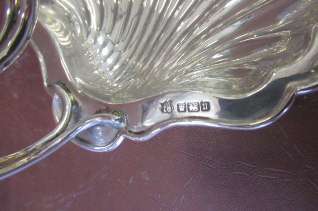 SILVER BUTTER SHELL Image