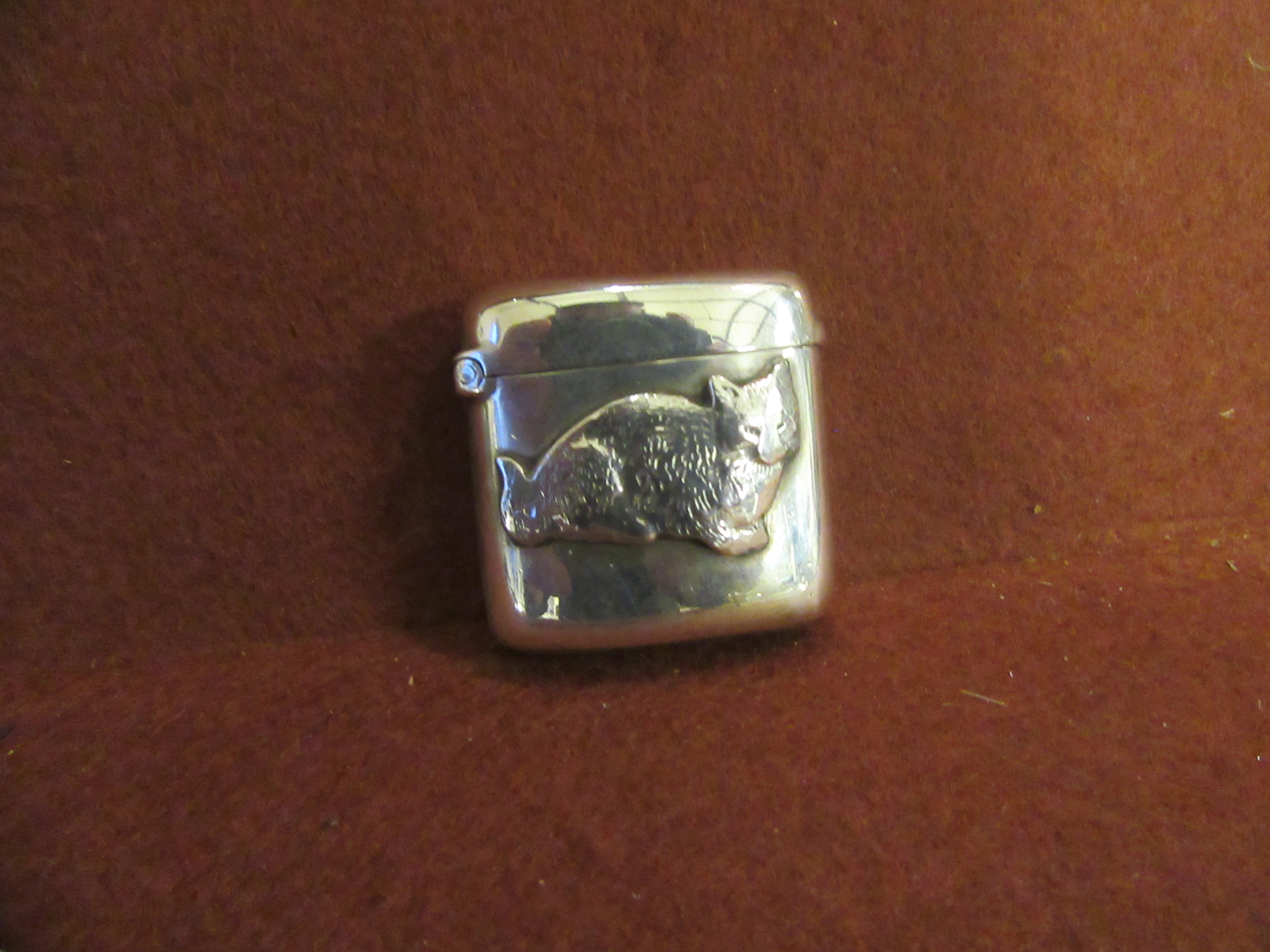 VICTORIAN SILVER CAT VESTA     Image