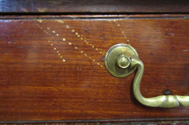 TABLE Image