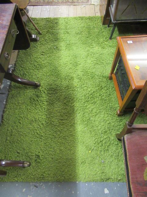 GREEN RUG Image