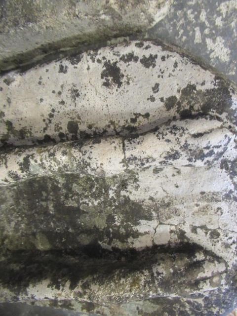 PAIR OF COMPOSITE GREYHOUNDS Image