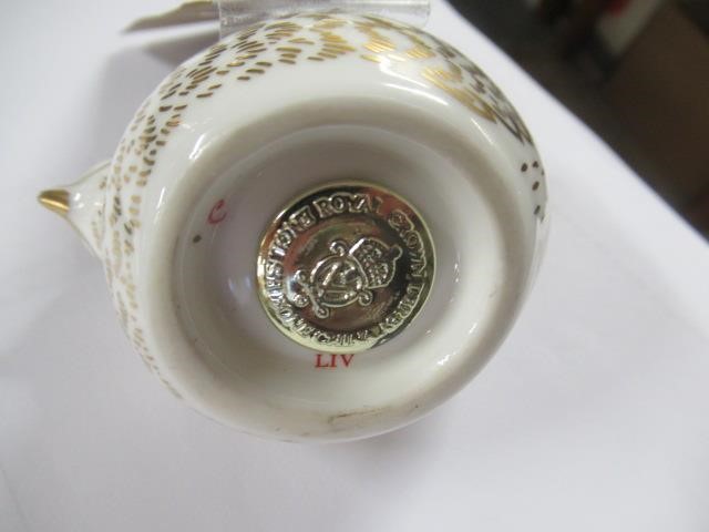 ROYAL CROWN DERBY BIRD Image