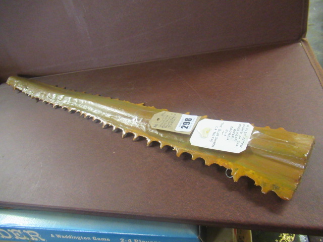 SAWFISH ROSTRUM AND BLUE SHARK TOOTH Image
