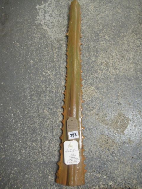 SAWFISH ROSTRUM AND BLUE SHARK TOOTH Image