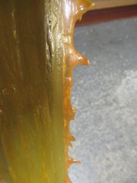 SAWFISH ROSTRUM AND BLUE SHARK TOOTH Image