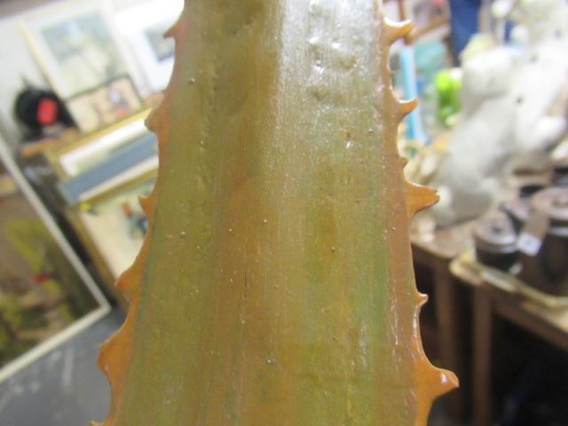 SAWFISH ROSTRUM AND BLUE SHARK TOOTH Image