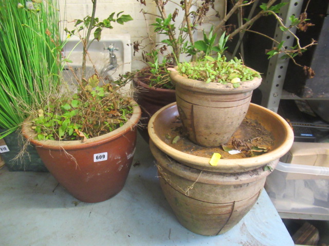 QUANTITY OF POTTED PLANTS Image