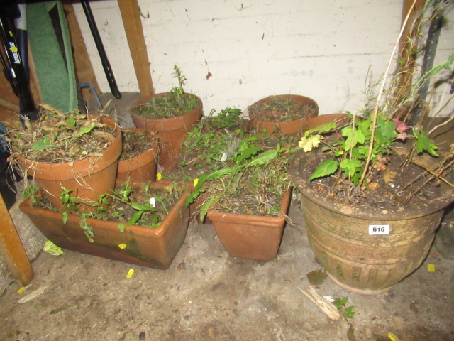QUANTITY OF POTTED PLANTS Image
