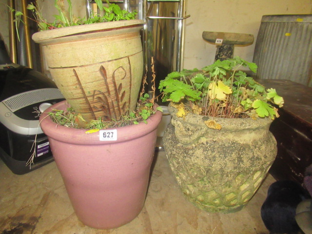 THREE POTTED PLANTS Image