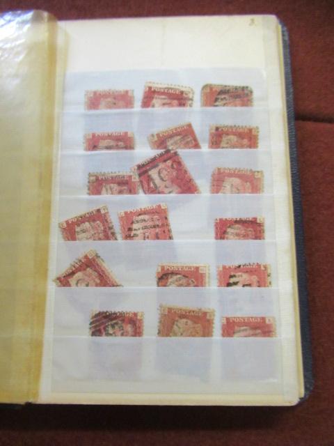 SMALL BLUE ALBUM OF PENNY REDS Image