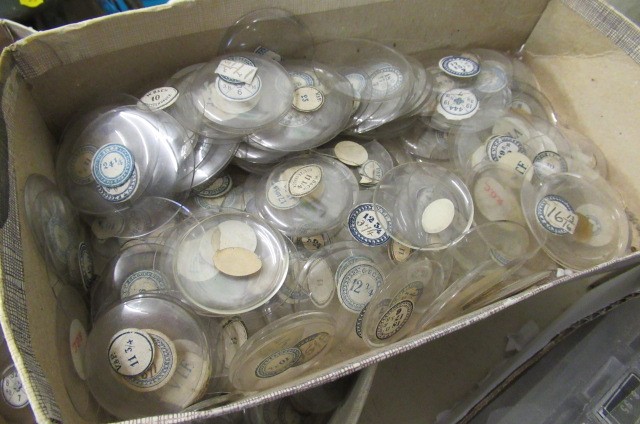 LARGE QUANTITY OF POCKET WATCH LENSES Image