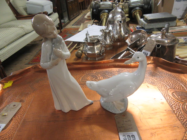 NAO GOOSE AND ANOTHER  Image