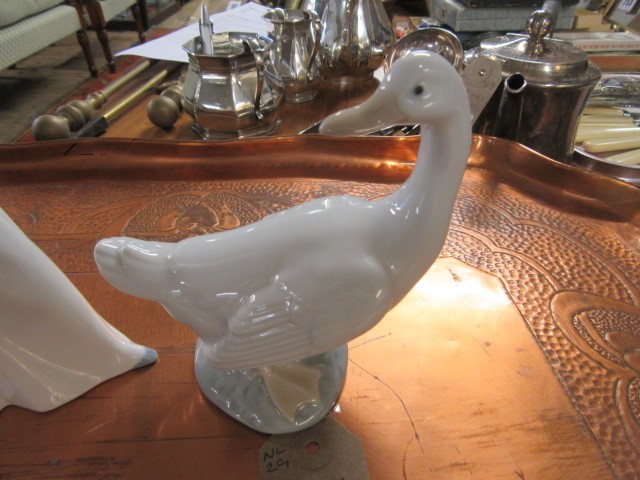 NAO GOOSE AND ANOTHER  Image