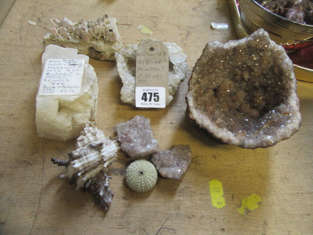 QUANTITY OF MINERALS AND GEODS ETC Image
