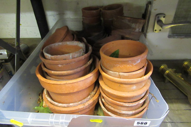 BOX OF TERRACOTTA POTS Image