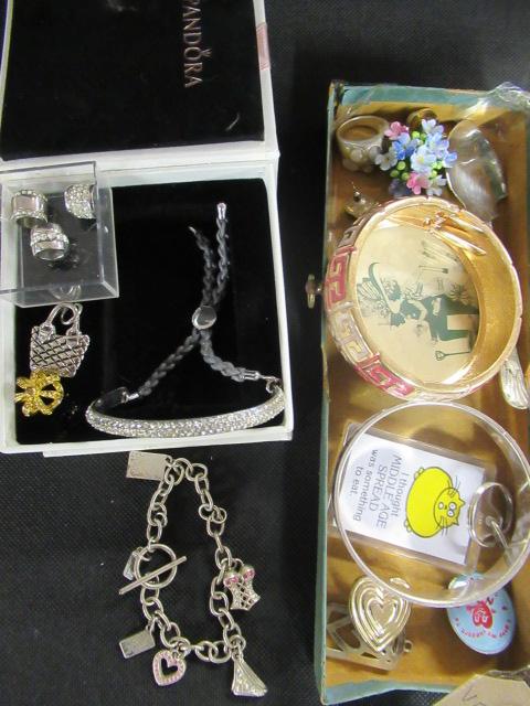 COSTUME JEWELLERY AND PANDORA CHAINS Image