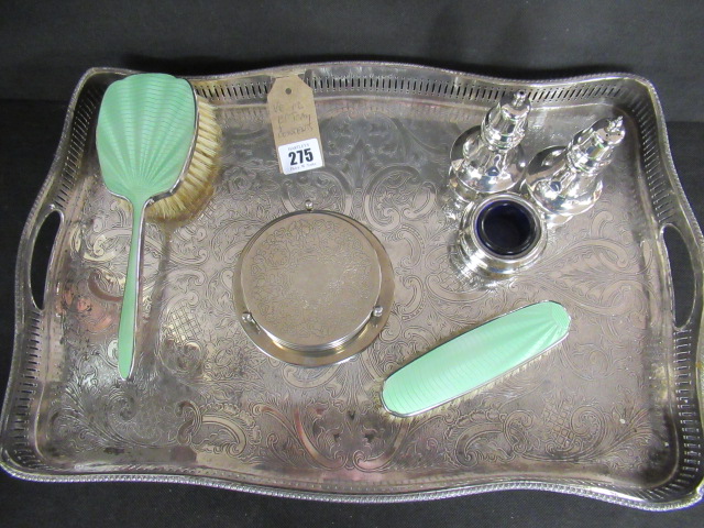 EP TRAY AND CONTENTS Image
