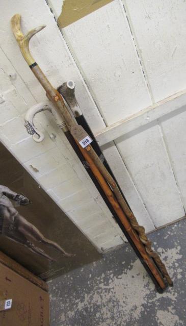 FIVE WALKING STICKS Image