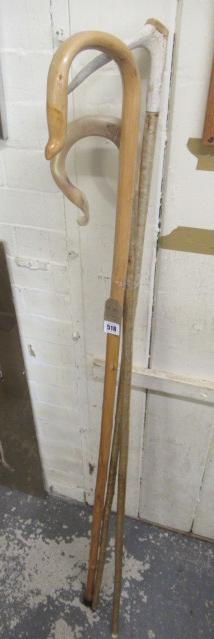 THREE SHEPHERD'S CROOKS Image