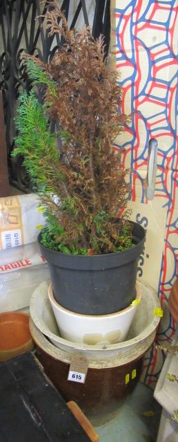 QUANTITY OF CERAMIC PLANTERS ETC Image